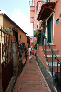 DSCF5418.JPG
