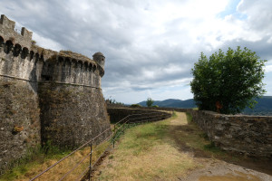 DSCF5422.JPG