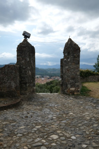 DSCF5431.JPG