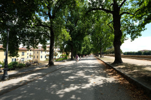 DSCF5448.JPG