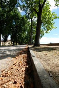 DSCF5449.JPG