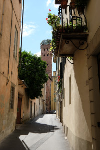 DSCF5466.JPG