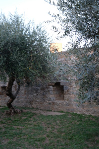 DSCF5498.JPG