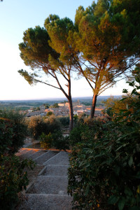 DSCF5500.JPG