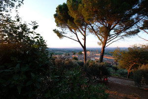 DSCF5501.JPG