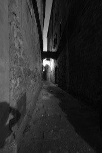 DSCF5526.JPG