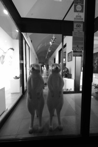 DSCF5528.JPG