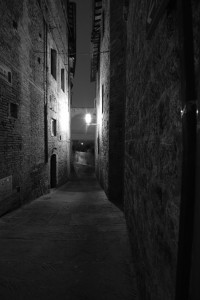 DSCF5529.JPG