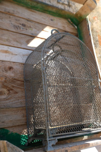 DSCF5532.JPG