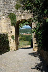 DSCF5534.JPG