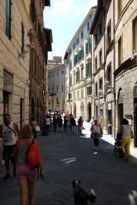 DSCF5539.JPG