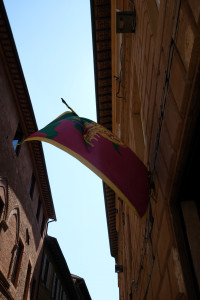 DSCF5543.JPG