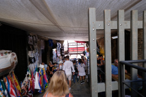 DSCF5550.JPG