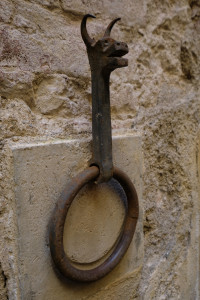 DSCF5561.JPG
