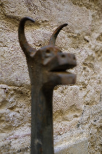 DSCF5562.JPG