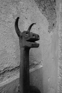 DSCF5564.JPG