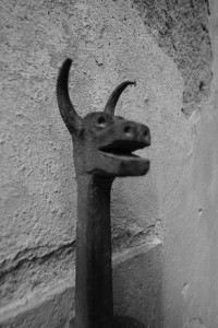 DSCF5565.JPG