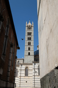 DSCF5568.JPG