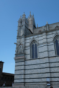 DSCF5572.JPG