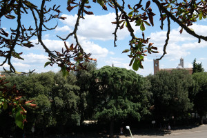DSCF5581.JPG