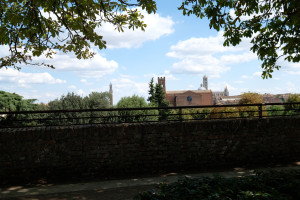 DSCF5582.JPG