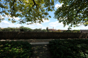 DSCF5583.JPG