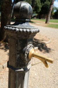 DSCF5611.JPG