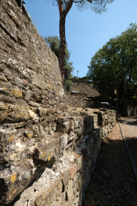 DSCF5617.JPG