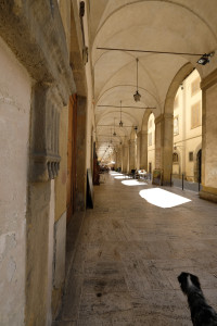 DSCF5620.JPG