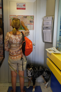 DSCF5670.JPG