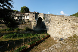 DSCF5675.JPG