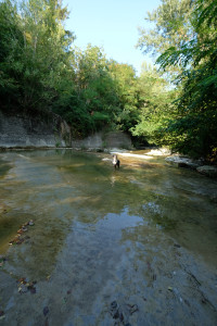 DSCF5680.JPG