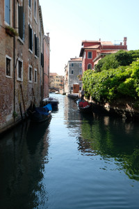 DSCF5715.JPG