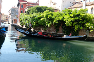 DSCF5716.JPG