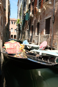 DSCF5725.JPG
