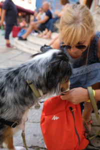 DSCF5728.JPG