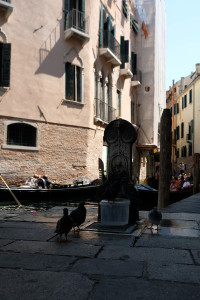 DSCF5741.JPG