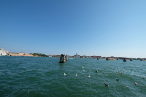 DSCF5778.JPG