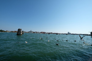 DSCF5779.JPG