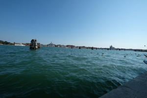 DSCF5780.JPG