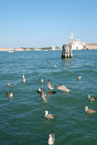DSCF5783.JPG