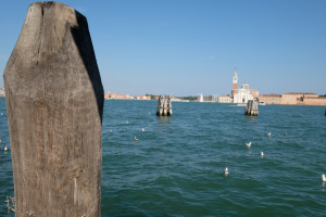 DSCF5785.JPG