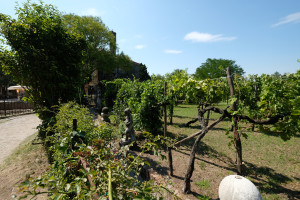 DSCF5813.JPG