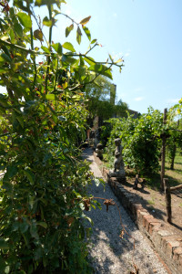 DSCF5815.JPG