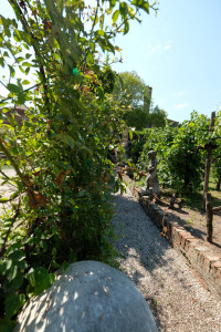 DSCF5816.JPG