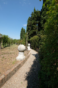 DSCF5817.JPG