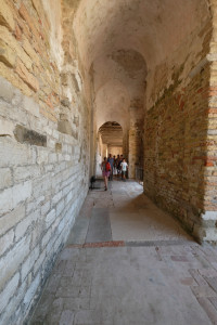 DSCF5820.JPG