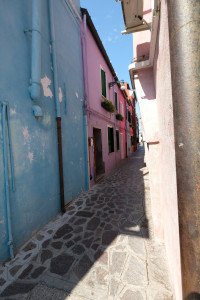 DSCF5835.JPG