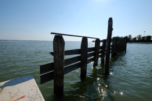DSCF5868.JPG