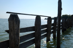 DSCF5869.JPG